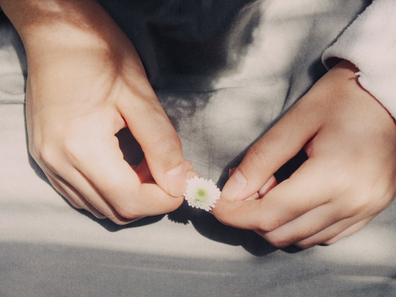 hands holding a small flower over a light grey fabric background