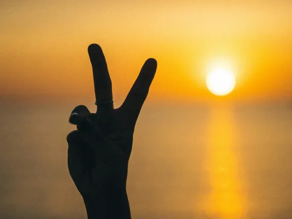 silhouette of a person's hand making a peace sign