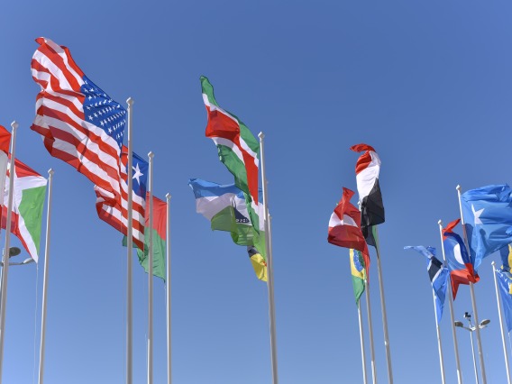 photo of various countries flags