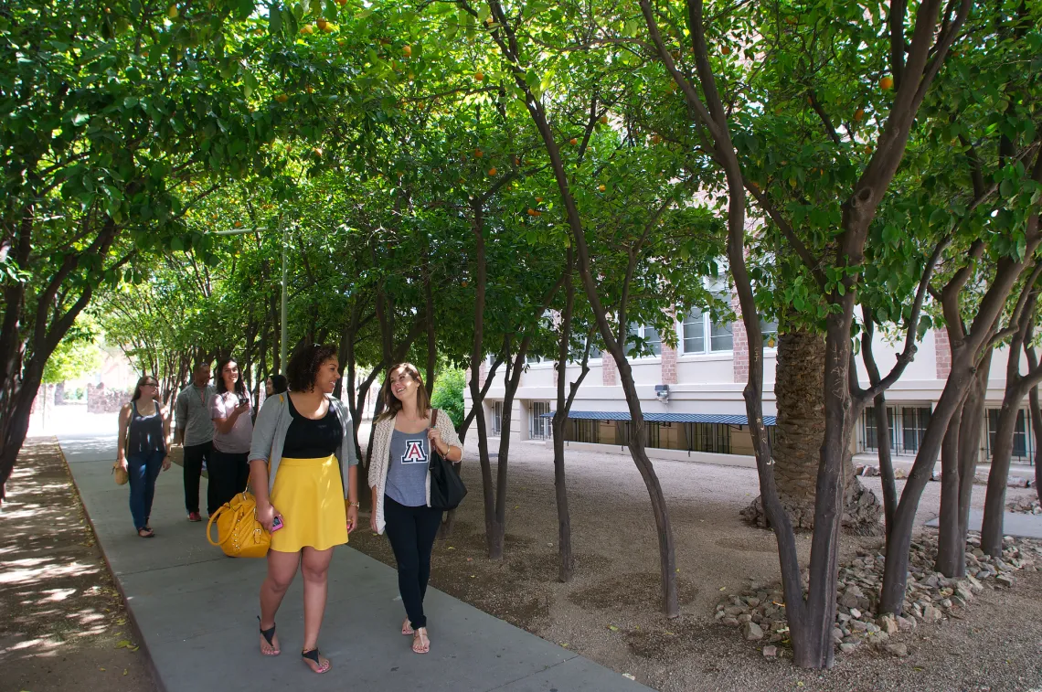 students walking on a sidewalk on the University of Arizona campus