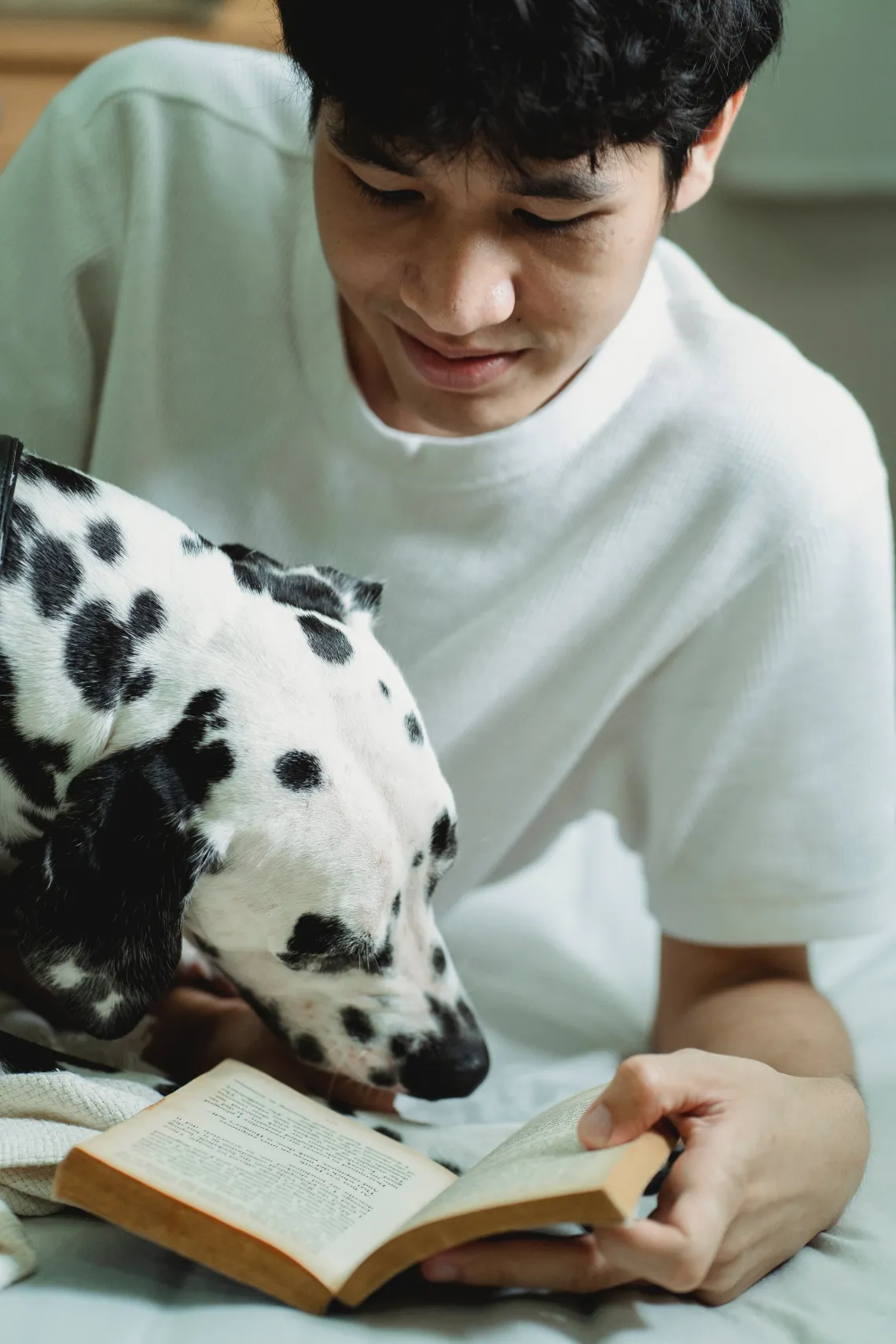 person reading a book and petting a dog