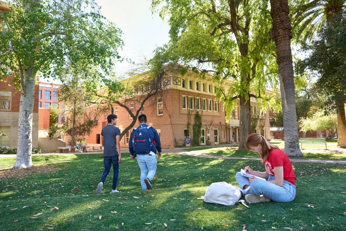 a person sitting on a lawn with people walking in the background