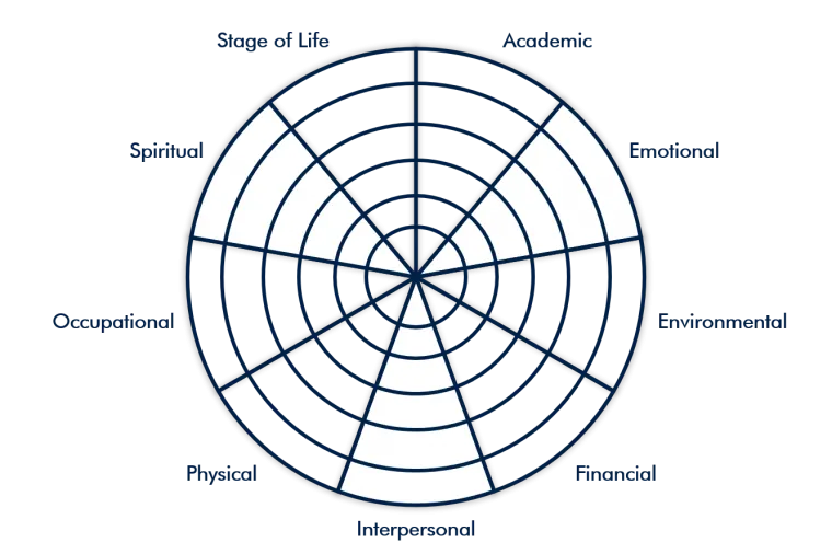 Circle divided into 9 sections with Wellness Doman labels